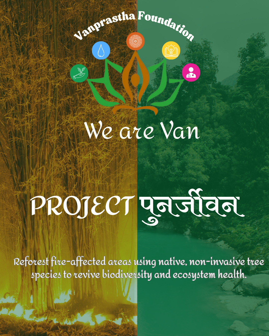 Ecological Crisis Impact